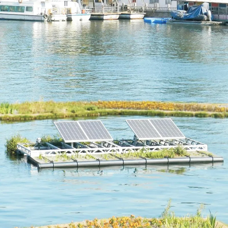 Proyekto sa pamamahala ng ilog